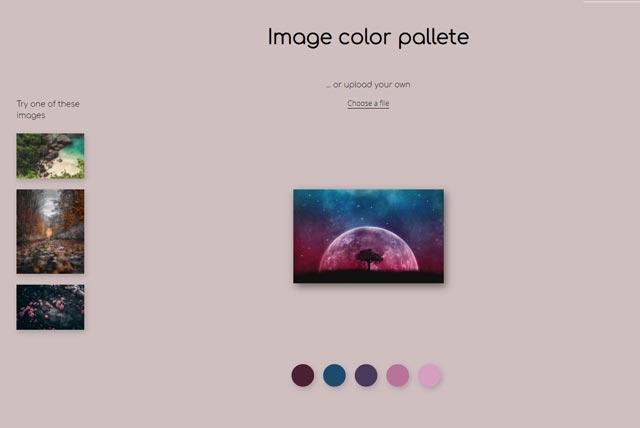 Color Palette Generator